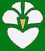 Tsubaki