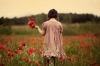 /gallery/2c00e9f6a3_56190141_o2.jpg