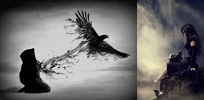 /gallery/Raven.jpg